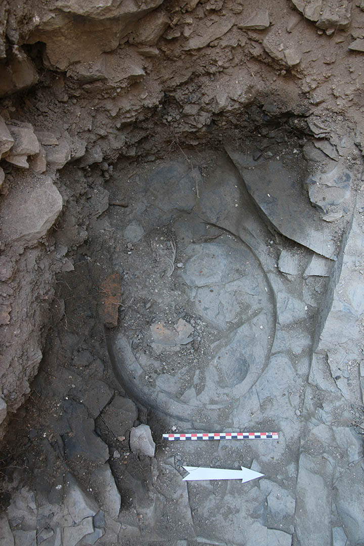 Fig. 3_Vue de la sépulture (Florian Leleu, Arkemine)