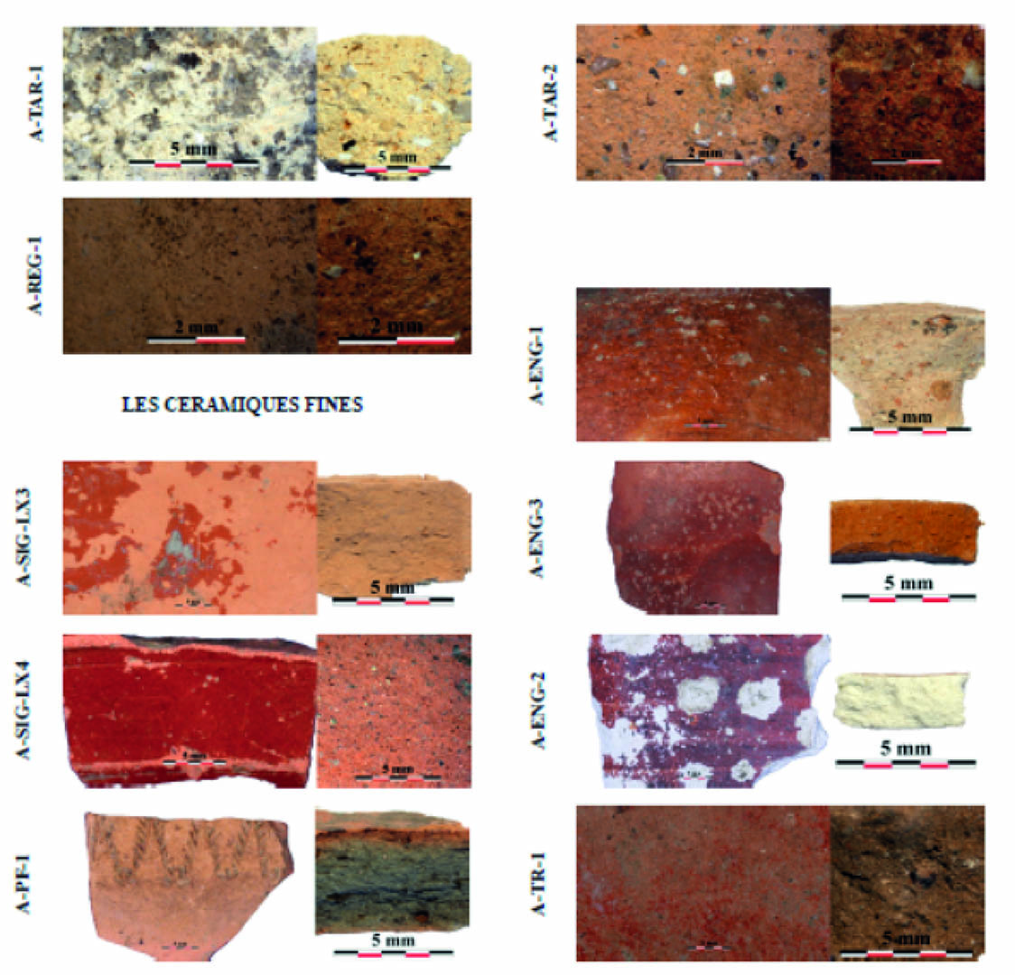 Figure 4 - Catégories d’amphores et de céramiques fines. Vue des surfaces et des tranches