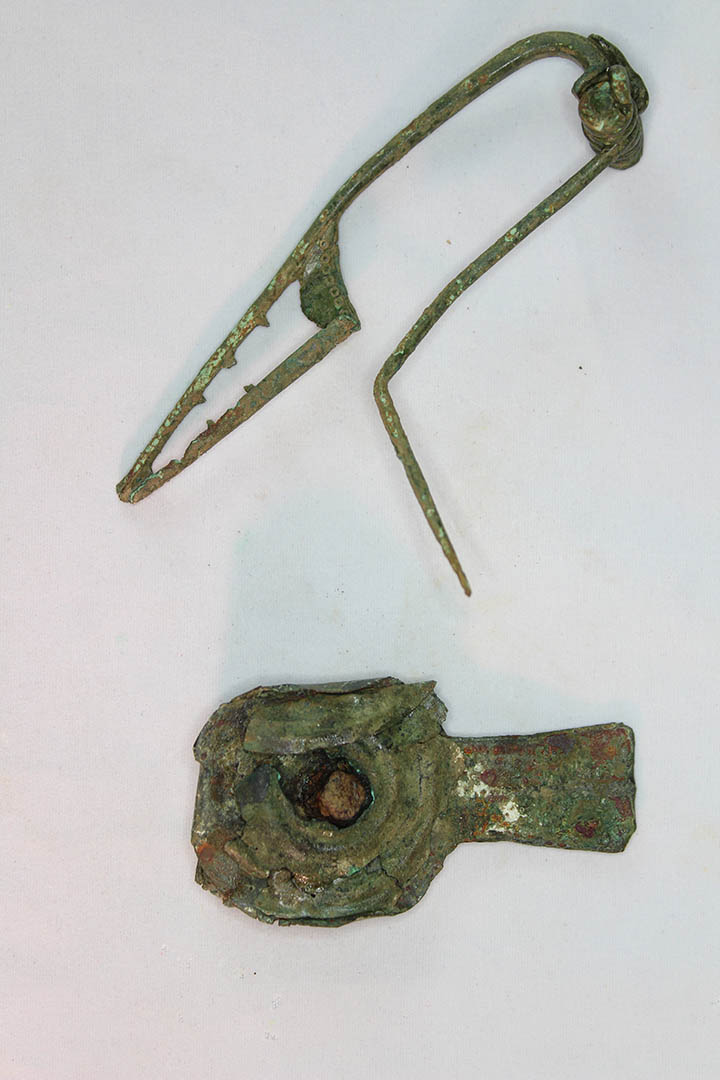 Figure 4 - Fibule issue du dépôt d'un squelette de chien